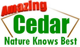 Amazing Cedar