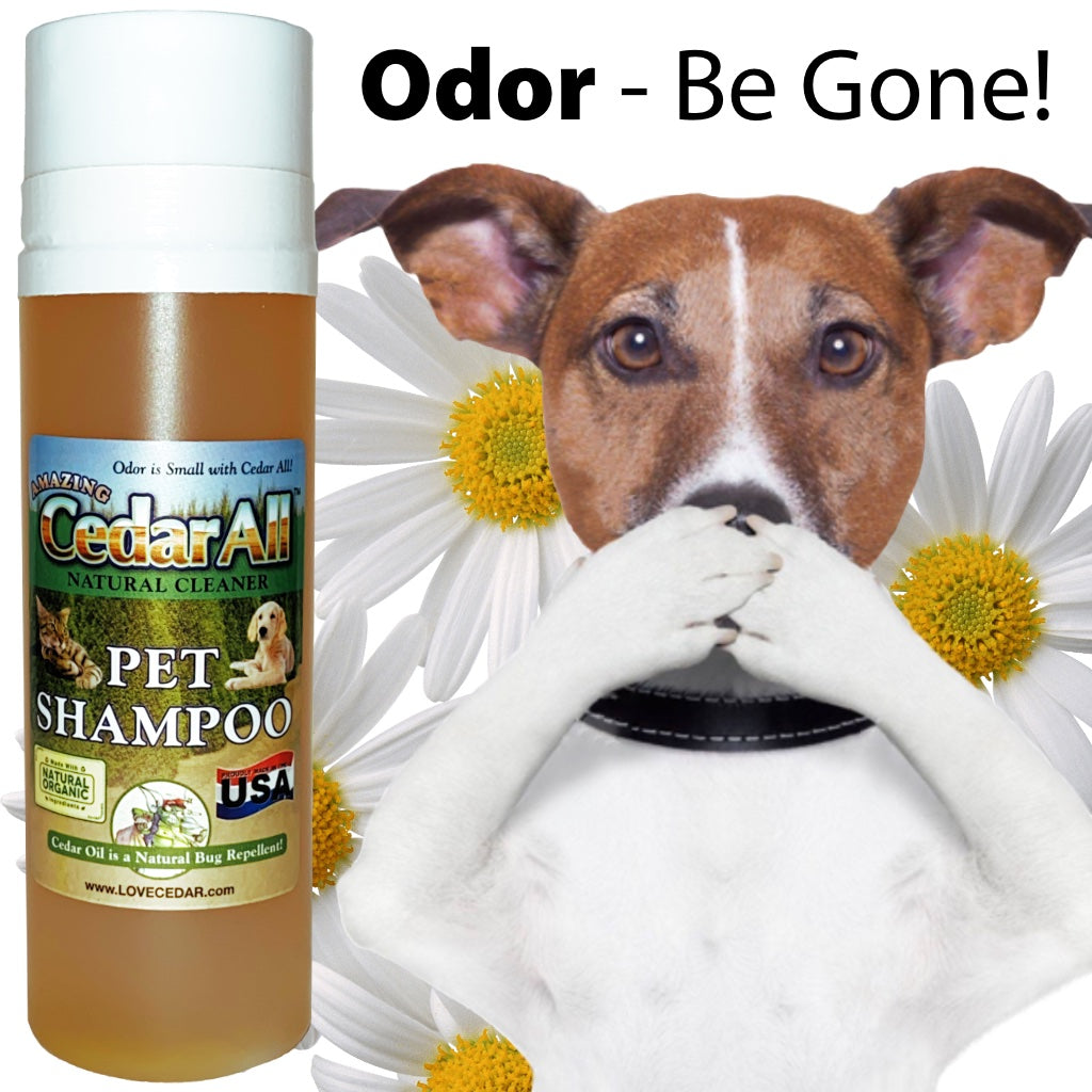 Amazing Cedar™ Pet Shampoo The Best Dog Shampoo & Cat Shampoo Anti Itch Flea Shampoo for Dogs